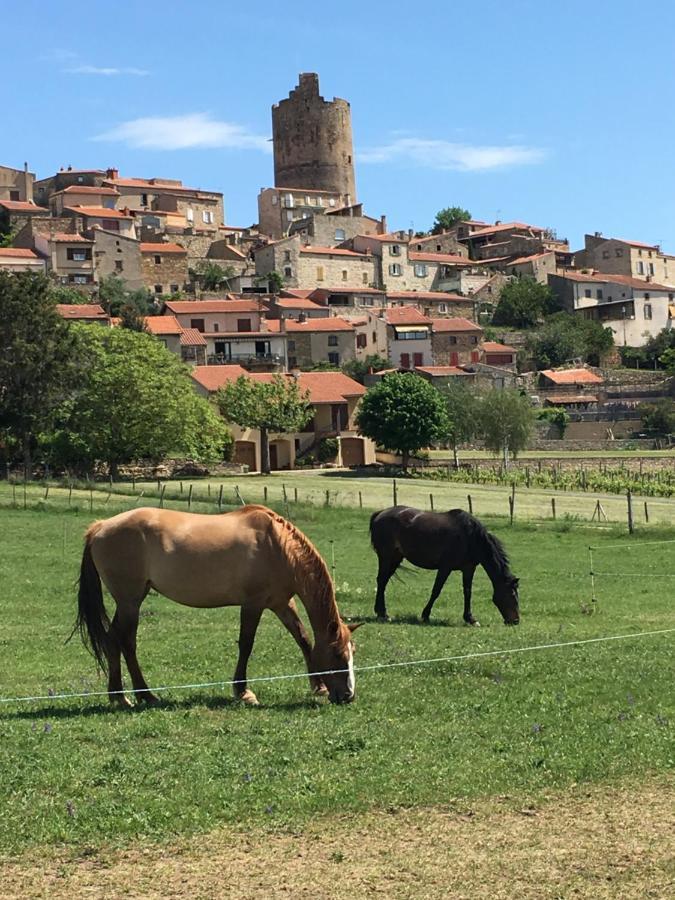 La Charmeraie